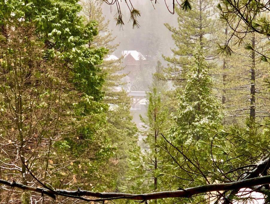Glimmer Chalet Treetop A-Frame Cabin Lake View Лейк-Эрроухед Экстерьер фото
